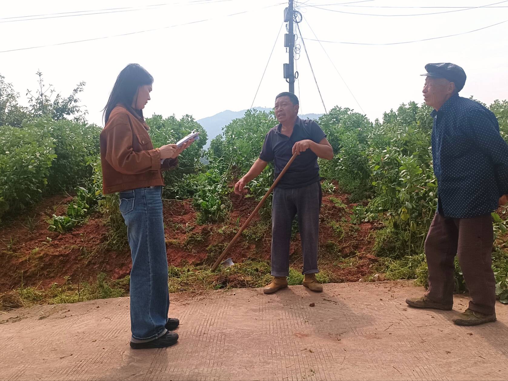 b91188eef42395acc23d0dbfcb237c60.jpg b91188eef42395acc23d0dbfcb237c60.jpg