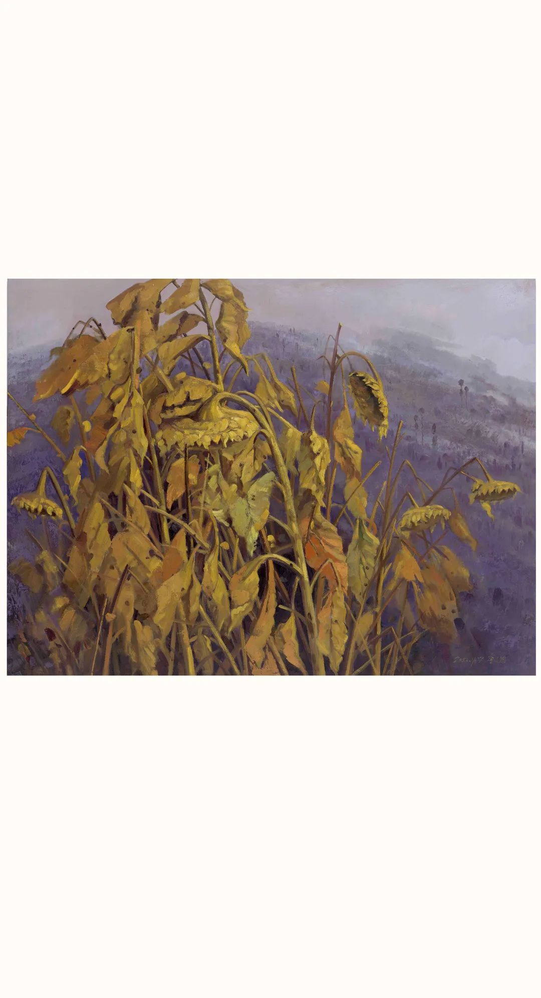 d7ba606de7b7be6e5b5b86ec11302152.jpg 微信图片_20230517171632.jpg