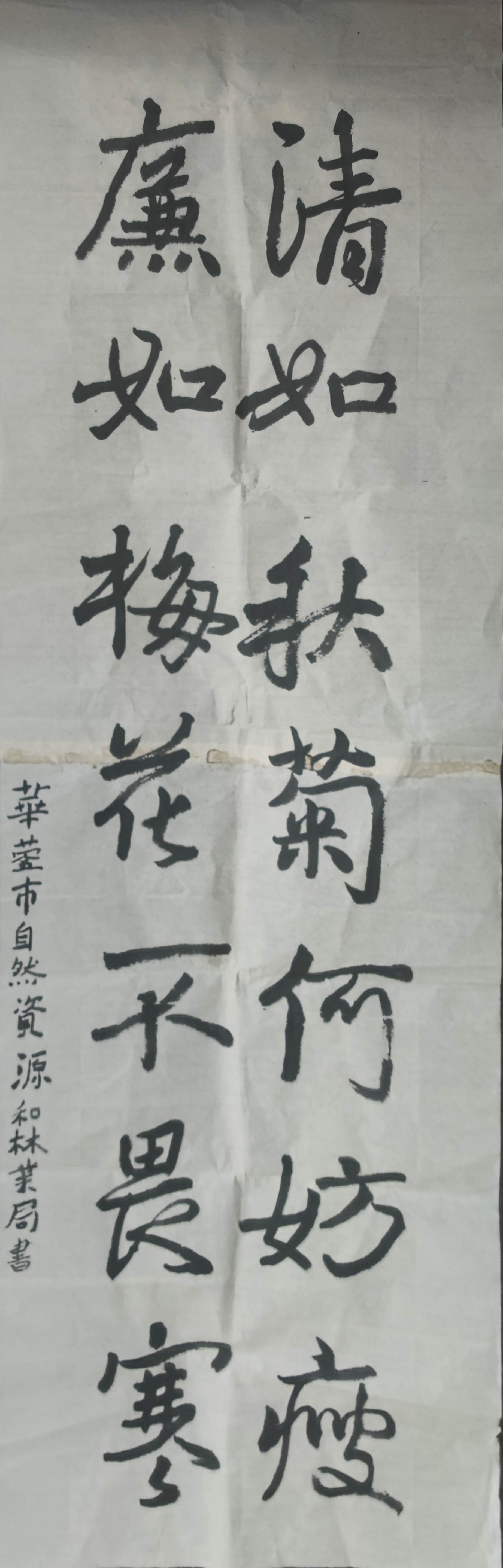 淡如秋菊何妨瘦 清到梅花不畏寒