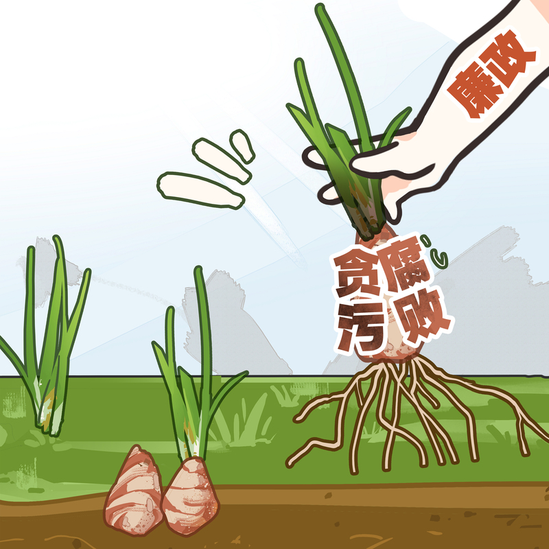 廉洁的发展环境