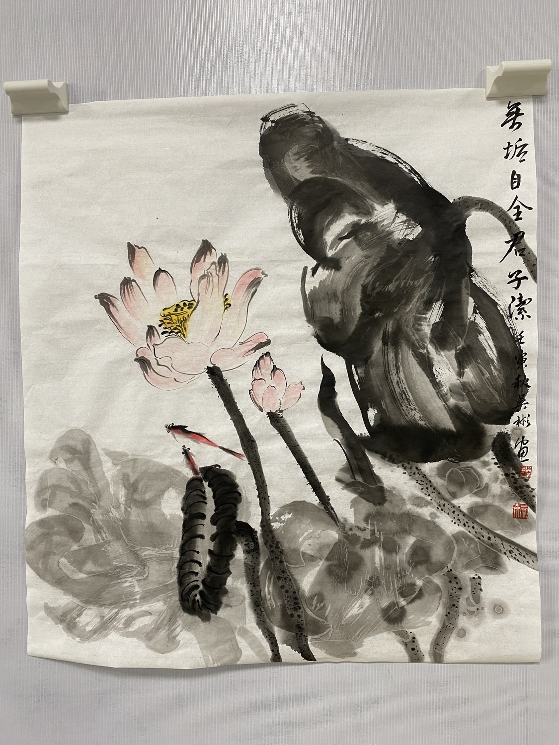 无垢自全君子洁