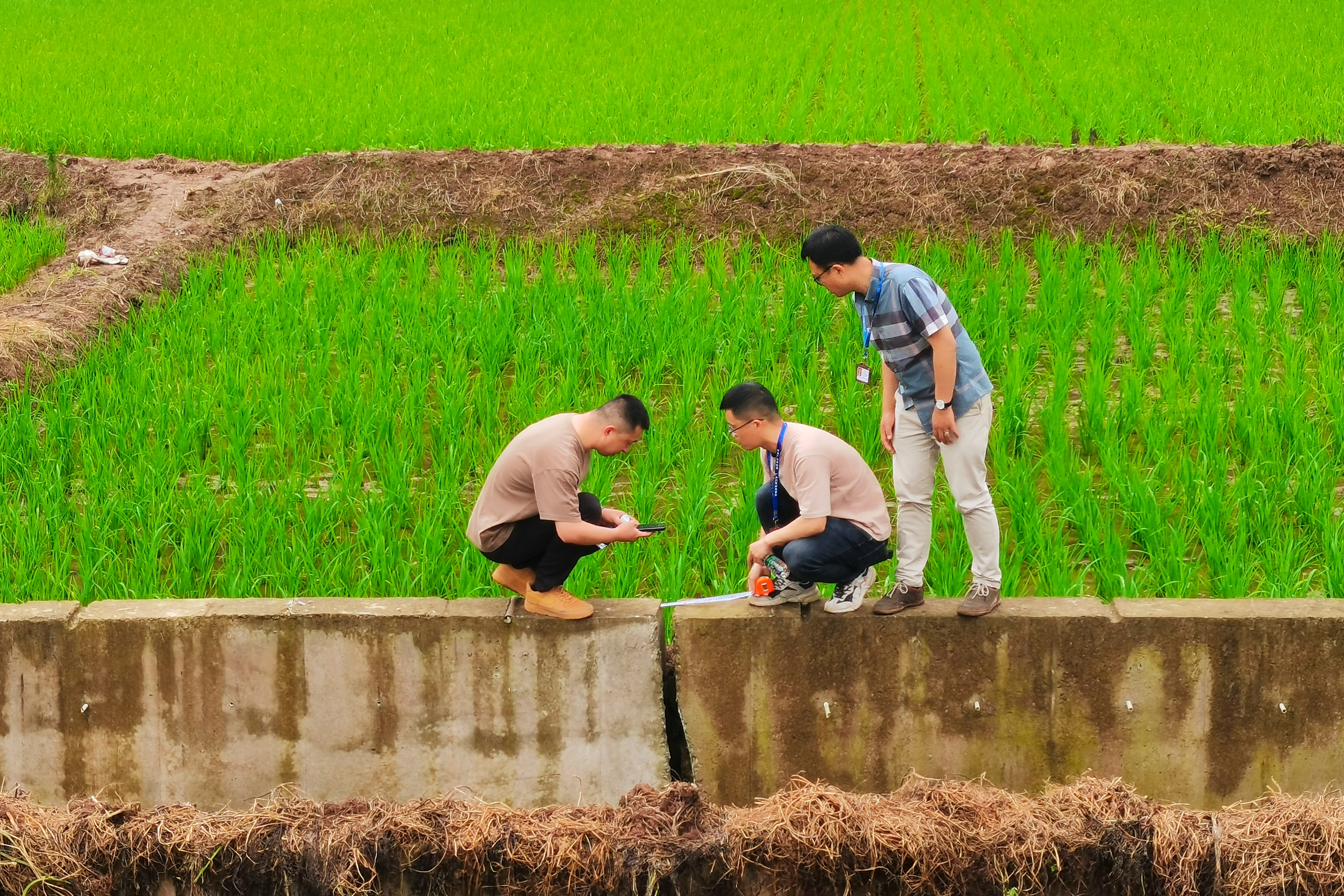 ca829cd2c88a46e5af55ca81f990afb2.jpg ca829cd2c88a46e5af55ca81f990afb2.jpg